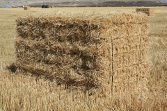 Small bales banded into one large bale