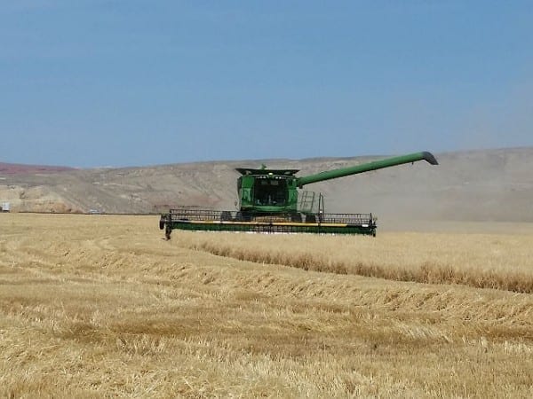 Still Barley Harvest - Teaching From the Tractor