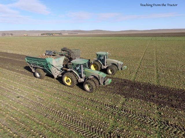 Harvest in Colorado using carts