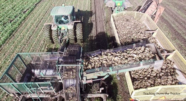 Sugar Beet harvest